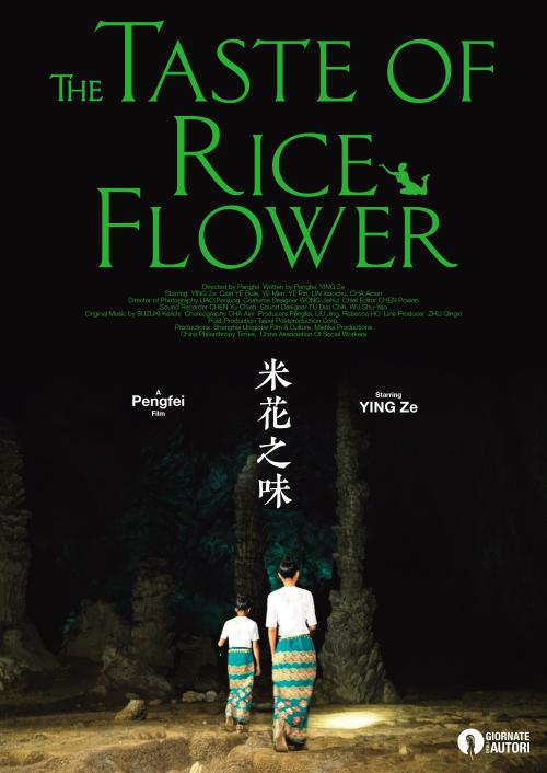 不动产权证编号哪里查